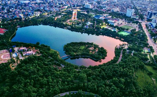 Rừng trong phố