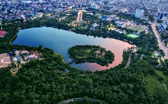 Rừng trong phố