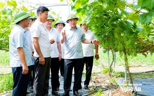 Bí thư Tỉnh ủy Nguyễn Khắc Thận thăm mô hình sản xuất, kinh doanh tại các xã Minh Hợp, Tam Hợp và Quỳ Hợp