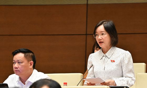 ĐBQH tỉnh Nghệ An đề nghị hoàn thiện quy định về trách nhiệm bồi thường của Nhà nước