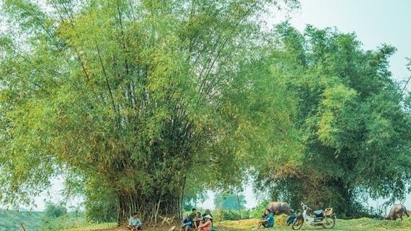 Rát rạt tiếng Vè trên đất sỏi