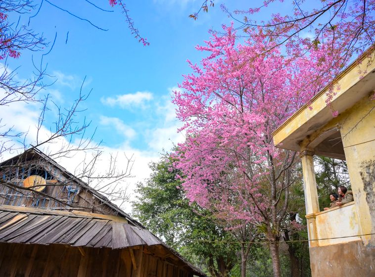 Ảnh: Thành Cường