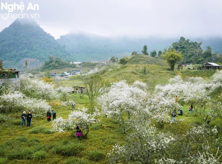 Ảnh: Hồ Nhật Thanh, Sách Nguyễn