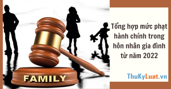 tong-hop-muc-phat-hanh-chinh-trong-hon-nhan-gia-dinh.png
