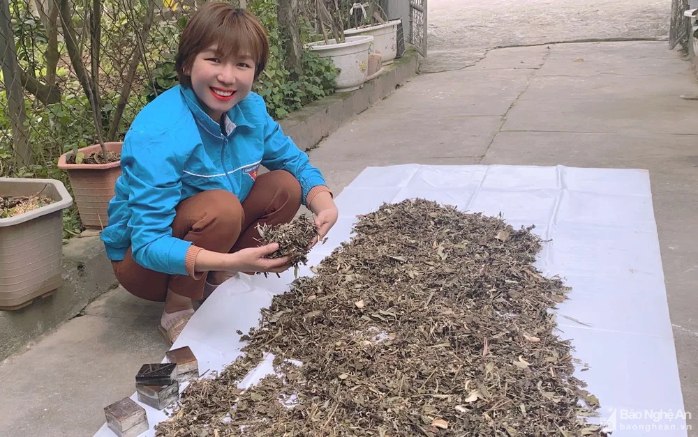 bna_anh_mo_hinh_thanh_quynh2705134_14122021--n1.jpg