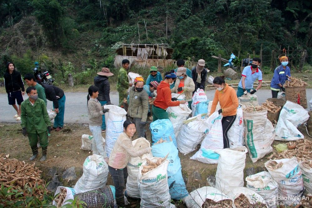 bna_nhon7574777_14122021.jpg