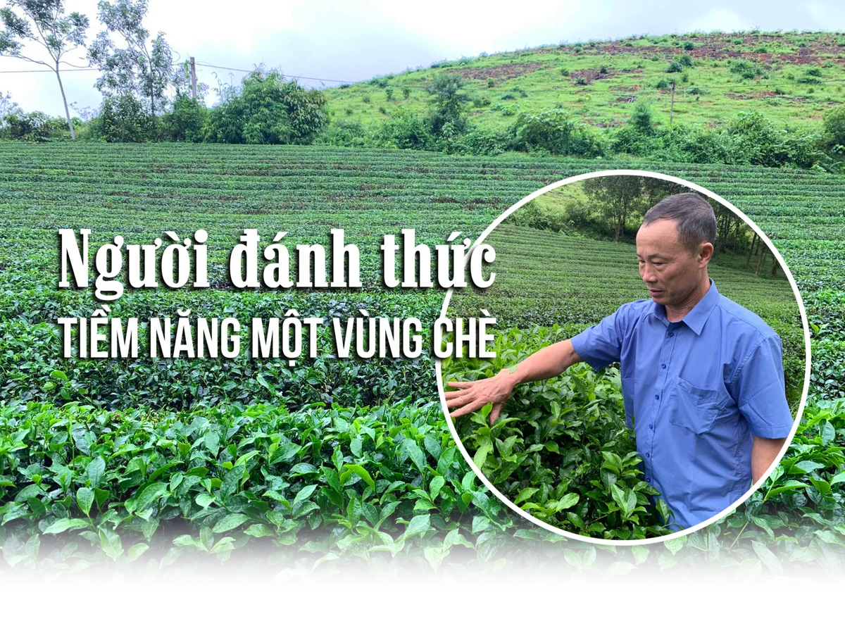 Nguoi-danh-thuc-tiem-nang-vuon-che-Anh-tieu-de-1.png