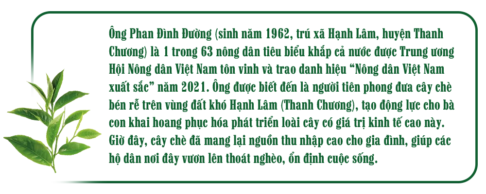 nguoi-danh-thuc-tiem-nang-vuon-che-sapo-1.png