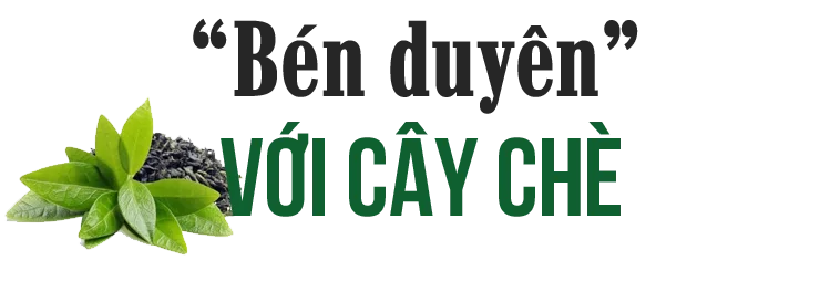 nguoi-danh-thuc-tiem-nang-vuon-che-tit1-1.png