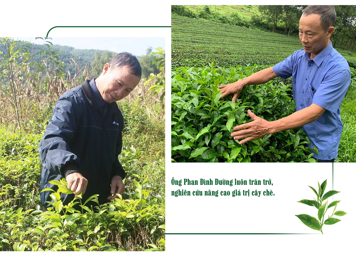 ong-phan-dinh-duong-a1.png