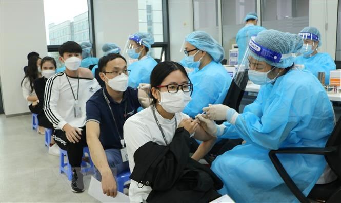 ttxvn_20211224_vaccine_hai_phong_20220112122628--n1.jpg