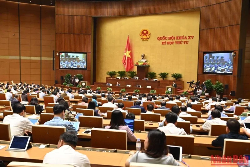 quang-canh-sang-25-10-3398.jpg