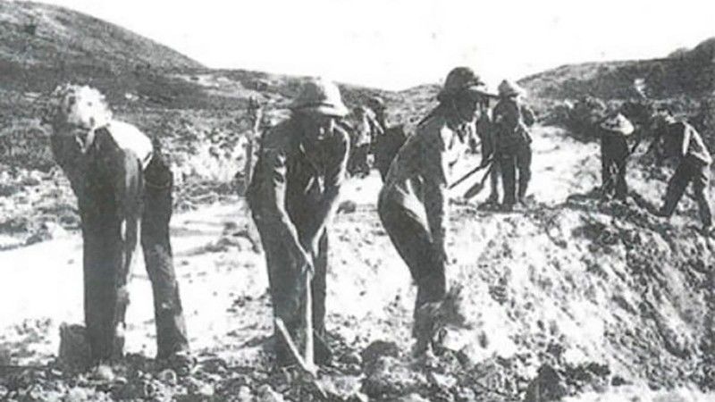 tbon-4548--n1.jpg