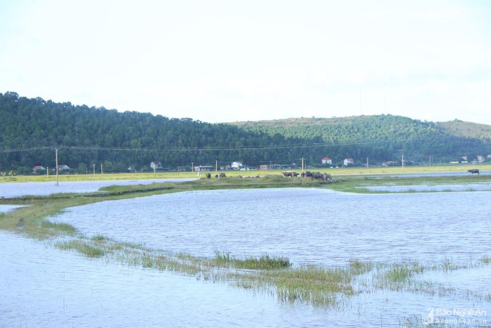 bna-nghi-tien-2270.jpg