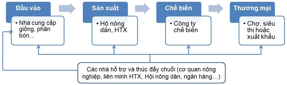 mohinh.jpg
