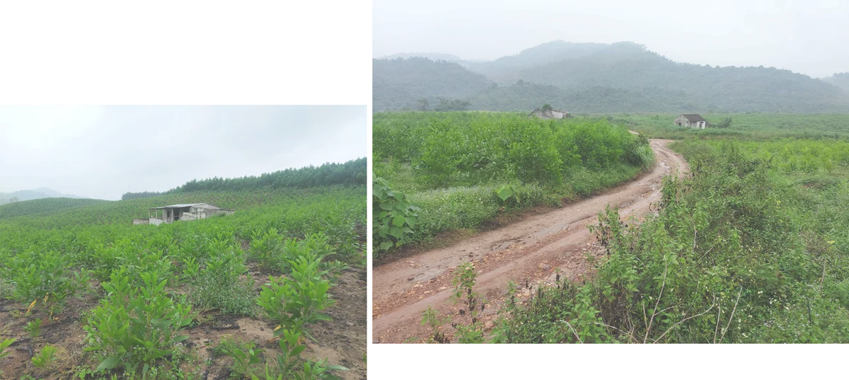 ban-mong-du-cam-mot-moi-lo-a7-1.png