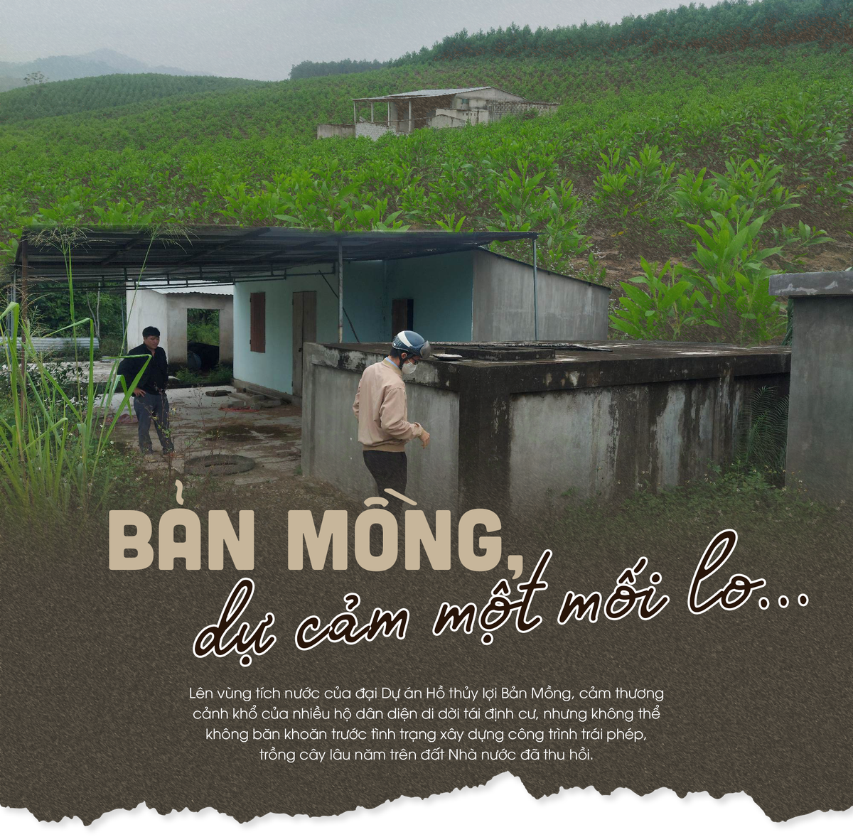 ban-mong-du-cam-mot-moi-lo-anhtieude2.png
