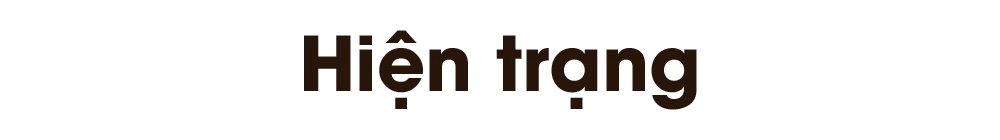 ban-mong-du-cam-mot-moi-lo-titphu1.png