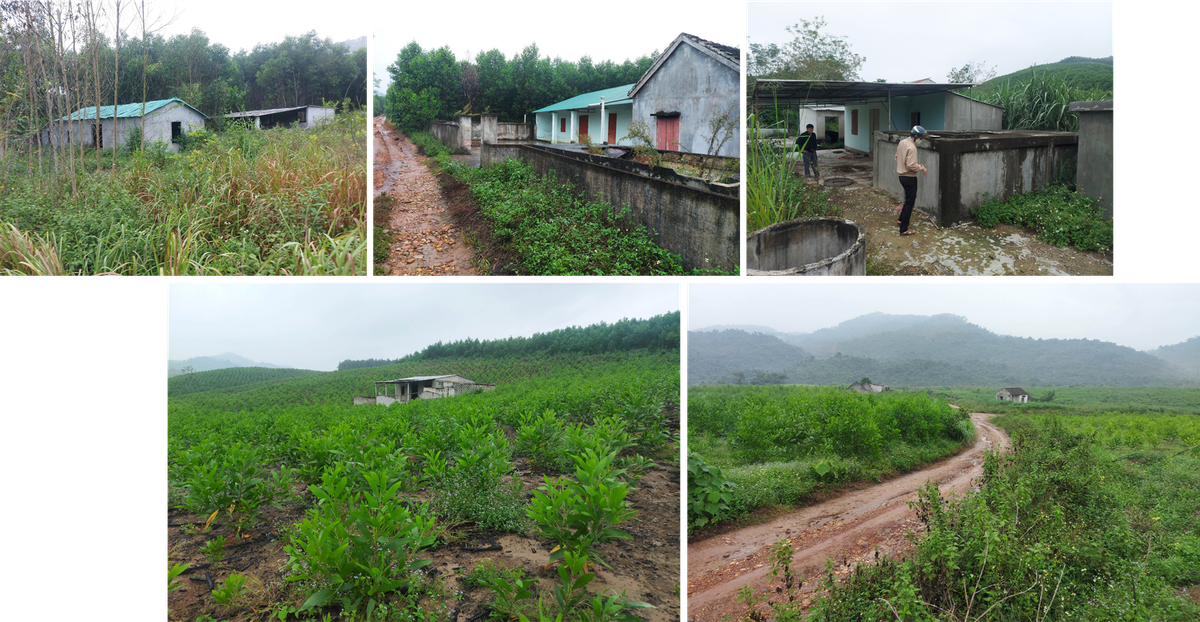 ban-mong-dai-du-an-chua-hen-ngay-ve-dich-a3.png