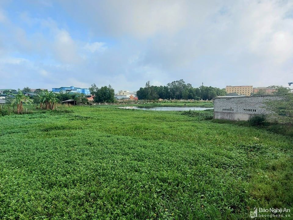 bna-golden-3-nhat-lan-2327.jpg
