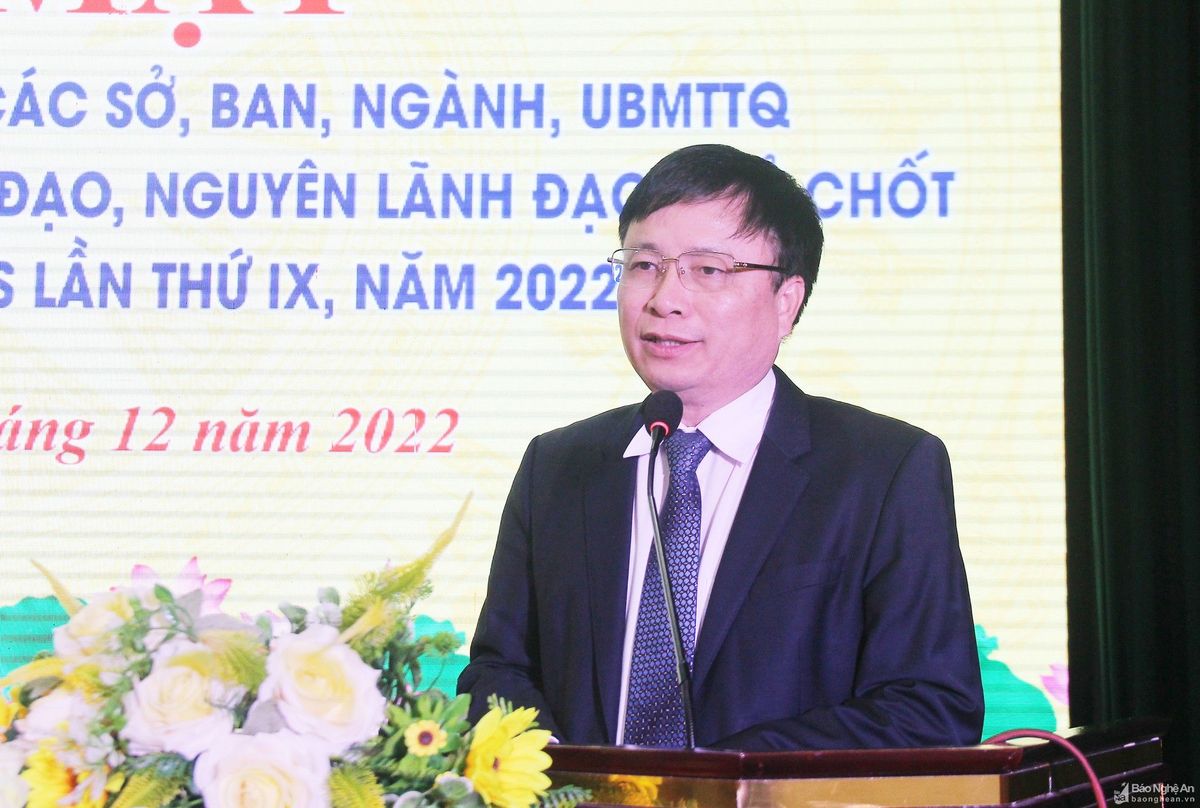 bna-mai-hoa-223-1620.jpg