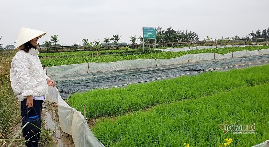 chuyen-ve-nguoi-phu-nu-o-nghe-an-trong-lua-mach-huu-co-dau-tien-1.jpg