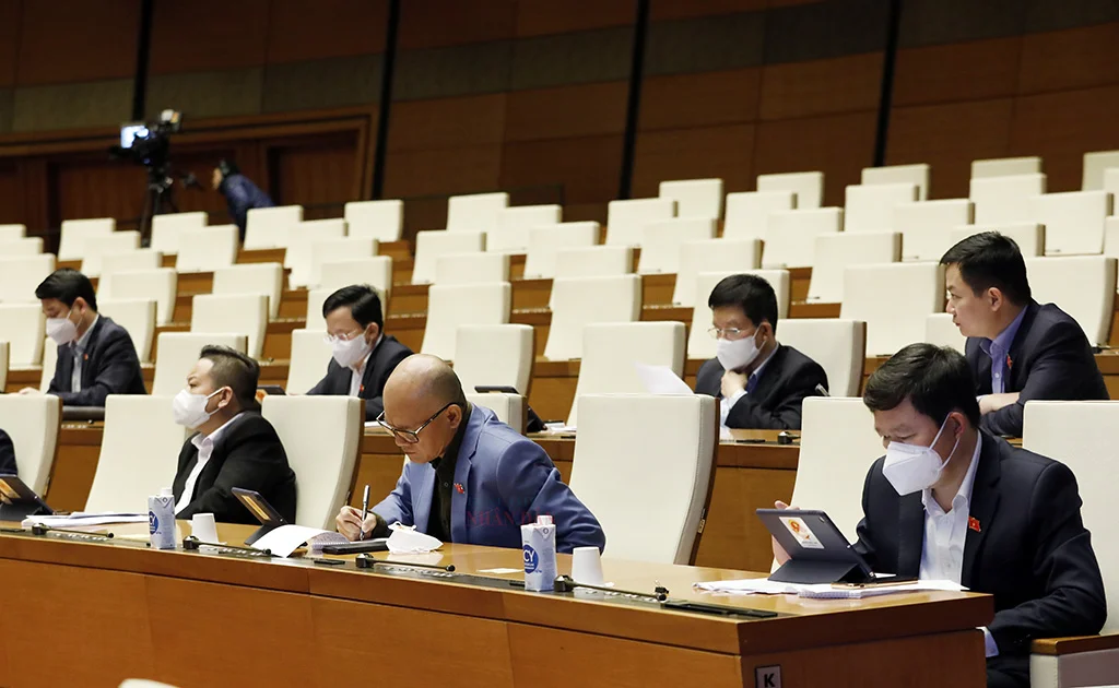 20220329124610dai-bieu.jpg