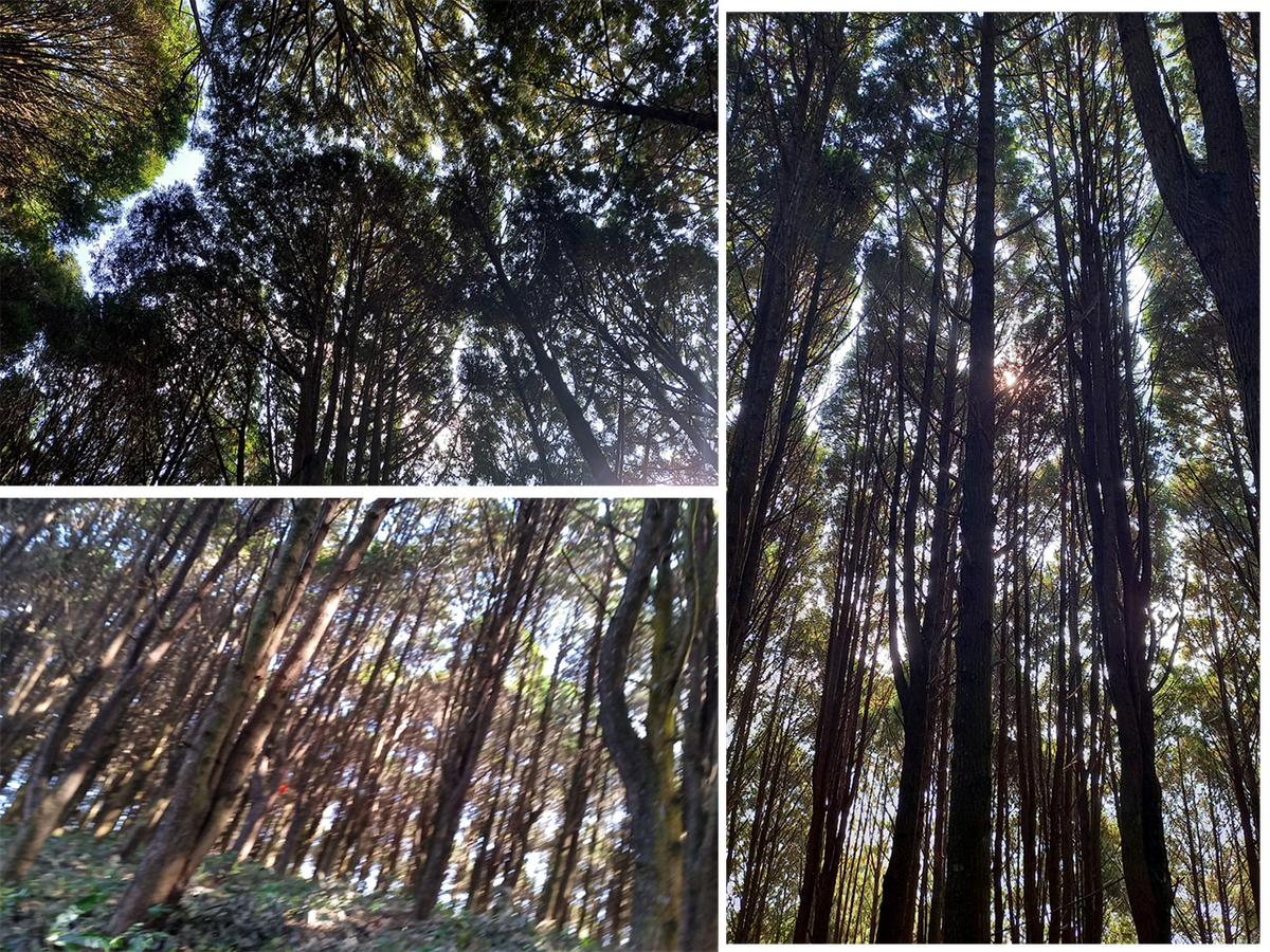 569f2ce4890d45531c1c.png