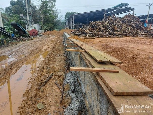 bna__thanh_mai_16_nhom_pvpl1324329_632022--n1.jpg