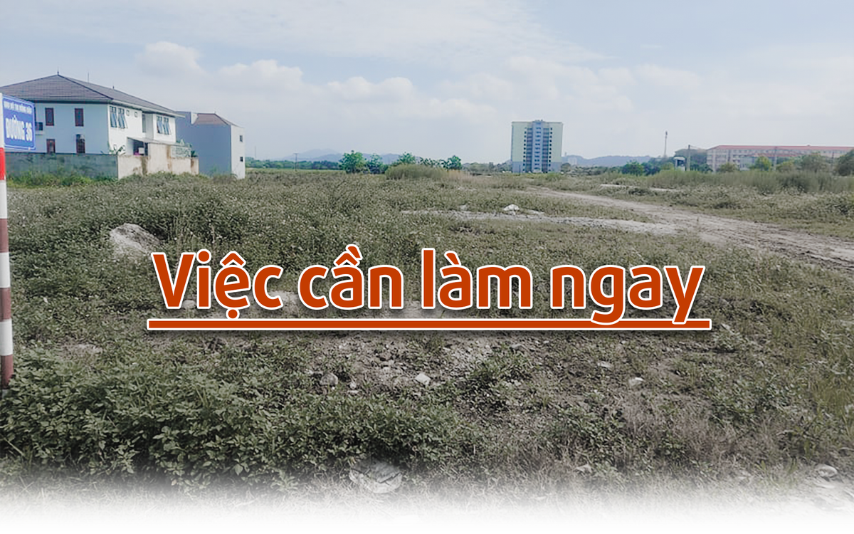 viec-can-lam-ngay-a.png