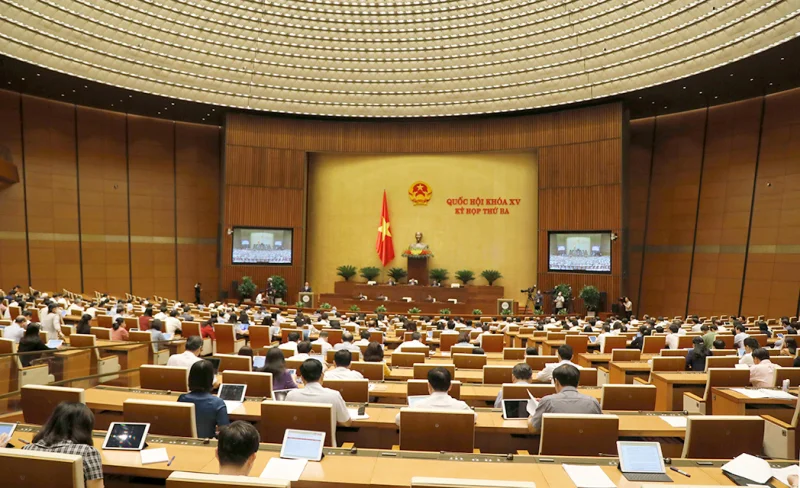 tc01-1654224898510.jpg