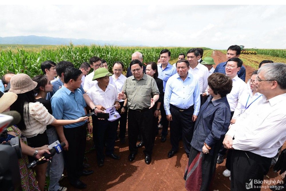 bna-thu-tuong-683--n1.jpg