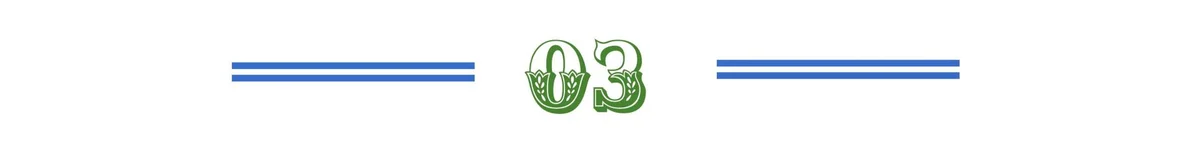 st6-1.jpg