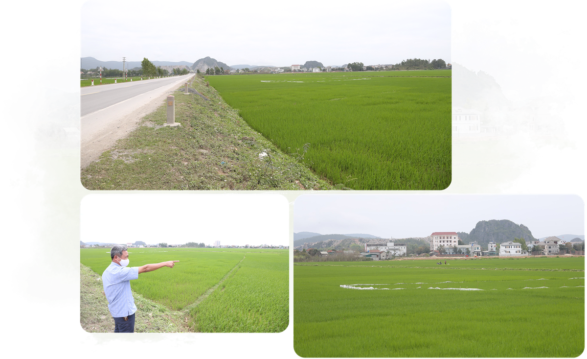 vicem-hoang-mai-co-hoan-thanh-du-an-do-thi-a2b.png