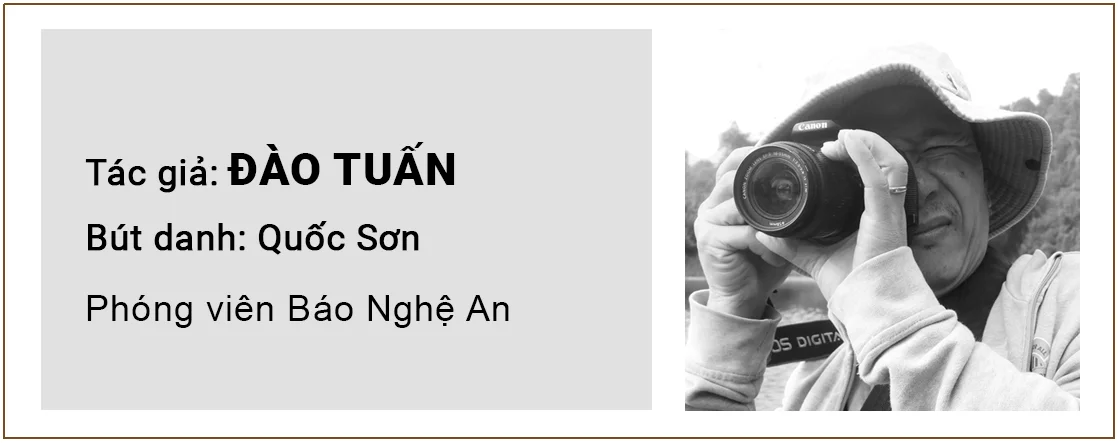 tacgiasuyngam-daotuan.jpg