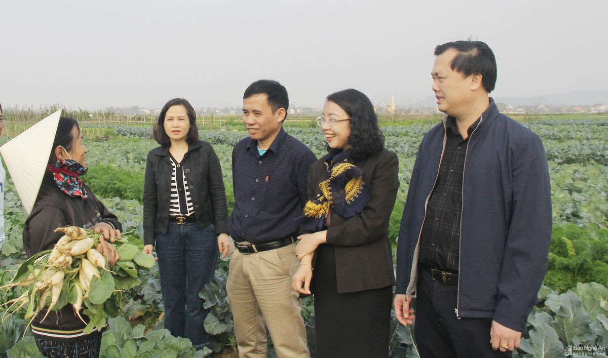 bna-lanh-dao-huyen-hung-nguyen-trao-doi-voi-nong-dan-xa-hung-thanh-ve-hieu-qua-san-xuat-rau-mai-vu-dong-tren-vung-dat-bai-anh-mai-hoa-768.jpg