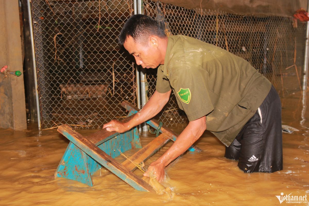 anh-7-905.jpg