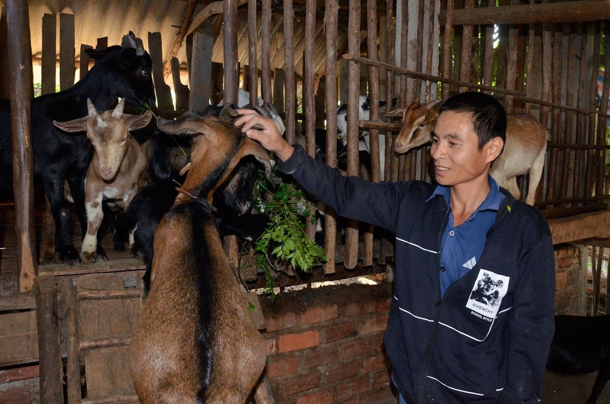 tu-nguon-von-quy-htnd-giup-nong-dan-nghia-dan-phat-trien-chan-nuoi-phat-trien-kinh-te.jpg