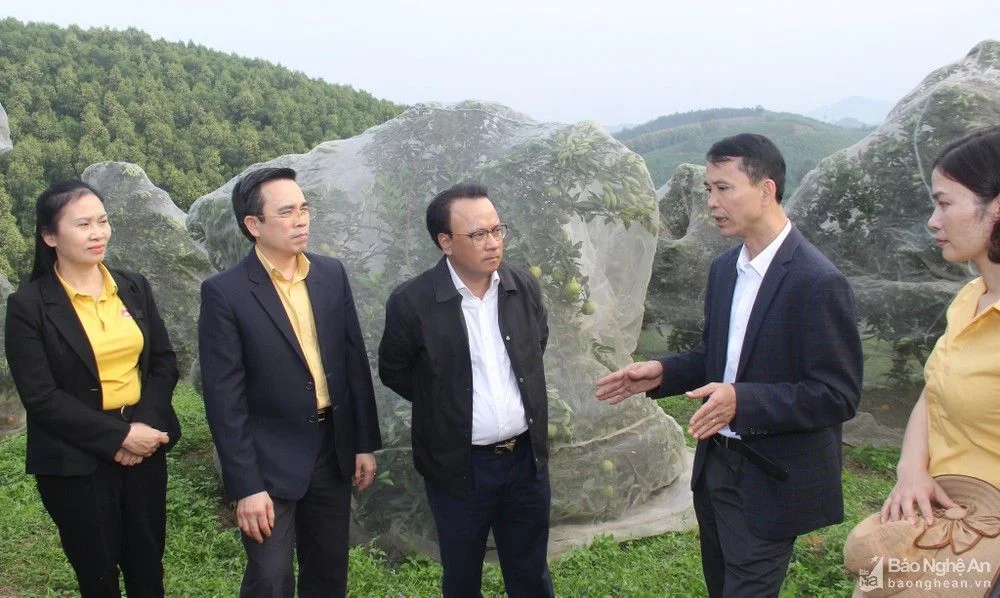 bna-dong-chi-nguyen-nam-dinh-tim-hieu-viec-trien-khai-thuc-hien-chinh-sach-ho-tro-phat-trien-nong-nghiep-do-hdnd-tinh-ban-hanh-tai-huyen-thanh-chuong-2256--n1.jpg