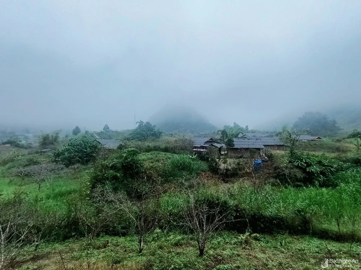bna_muong_long2564165_9112021.jpg