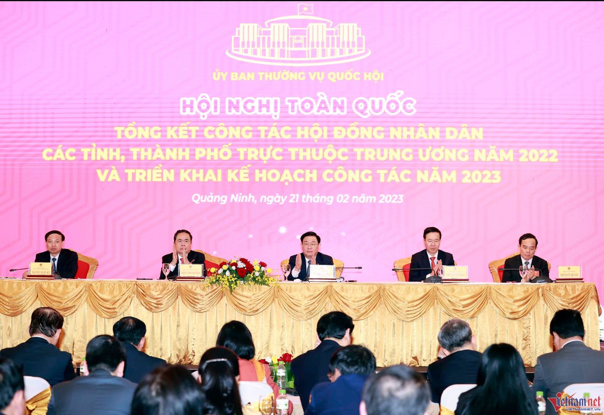 tan6384-copy-1-1264.jpg