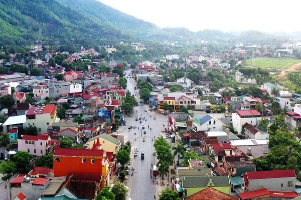 thai-hoa-2-1598417039.jpg