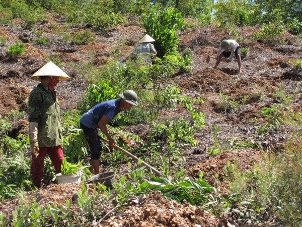 nong-lam-truong-quoc-doanh.jpg