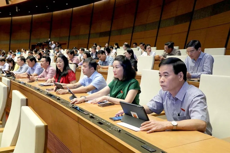 doan-quang-binh-1687252596740.jpg