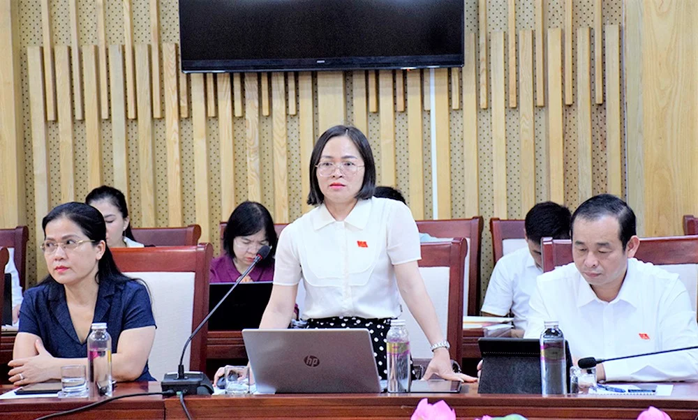 nhung-doi-moi-trong-to-chuc-thao-luan-va-kinh-nghiem-nang-cao-chat-luong-thao-luan-tai-cac-ky-hop-thuong-le-hdnd-tinh--n3.jpg