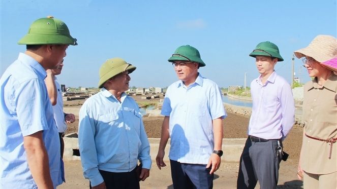 ANH%20NGHE%20AN.jpg