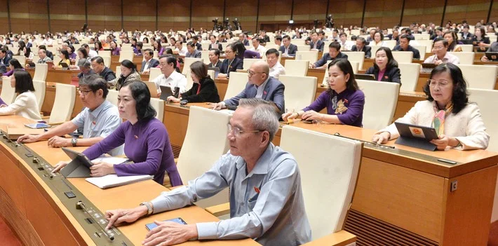 l6.jpg