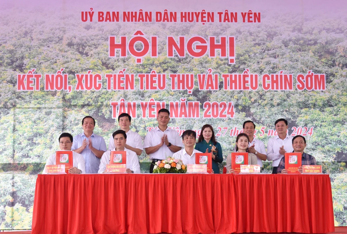 vai-thieu-bac-giang-1716804216245751771975.jpeg
