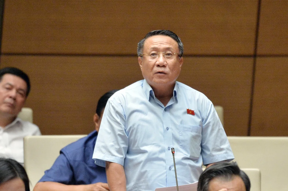 sy-dong-1719027325106.jpg