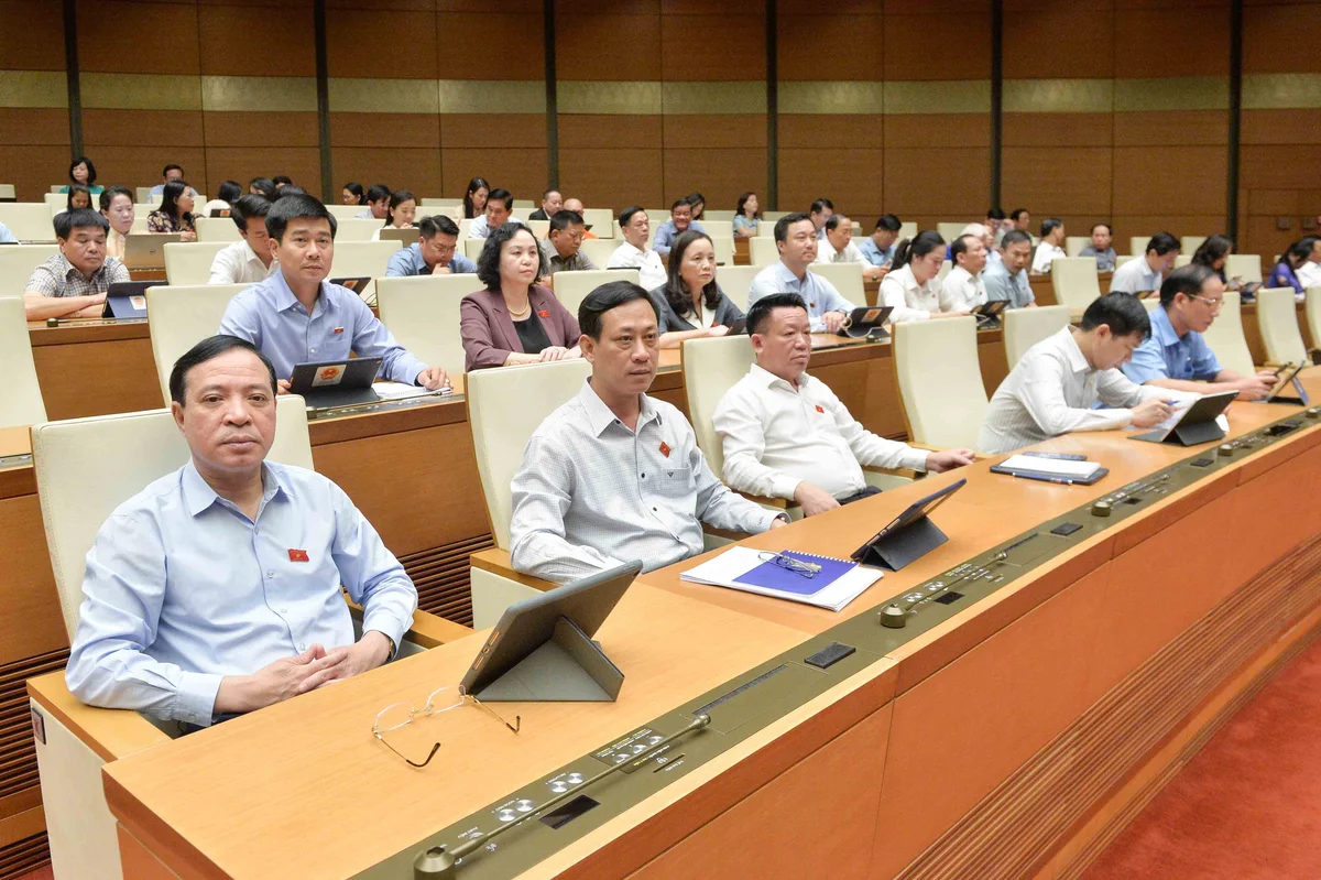 Doan-Thanh-Hoa-1717665470534.jpg